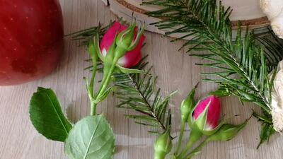 Mini-bouquet de fruits, 3 fruits : pommes, citron, gingembre, menthe