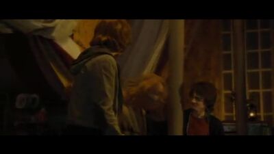 Harry Potter et la Coupe de Feu. Extrait. Fred et George Weasley