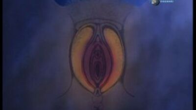 ACTES SEXUELS (ÉDUCATION SEXUELLE)