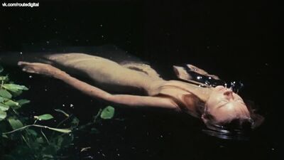 Jenny Agutter nue - Walkabout (1971) HD 720p - Regarder en ligne