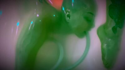 VACUUM – Contorcionismo a solo inovador – Ess Hödlmoser (Strange Wonderful Creature)