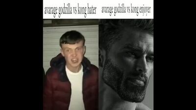 Average Fan VS Average Enjoyer _ Original Template _ 2K 60FPS_1.mp4