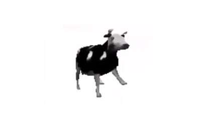 Vaca polaca: fondo de pantalla animado para PC