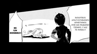 Doujinshi z serii „Bleach”