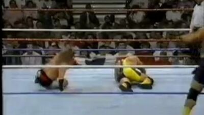 Штайнер бауырлары vs Heavenly Bodies - 30/8/93