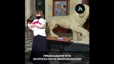 Пророцтво кота | АКУЛА