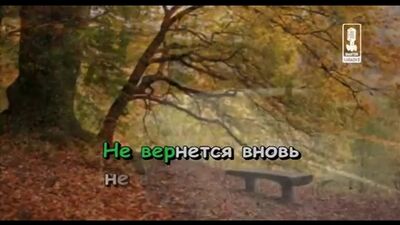 Там, де шумить клен — караоке