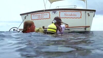 Jacqueline Bisset the Deep
