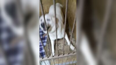 ¡Aurora tiene una deuda enorme por retrasos! ¡Ayudadme!