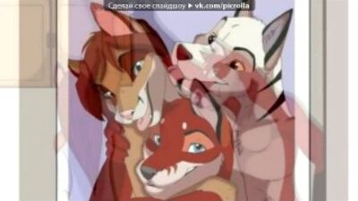 «Álbum do editor da MegaTestes» com música de Lenchi-Furry e Embry Furry - «Amo-te, se isto for amor a sério». Picrolla