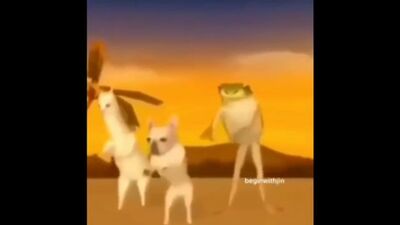 Mème TikTok, Yalta en août et toi et moi sommes amoureux, Yalta en août, un chien, une grenouille, un oiseau.mp4
