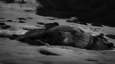 Rea Lest desnuda - Noviembre (EE 2017) HD 1080p Ver online