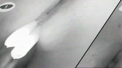 BBW Tazi Wife in Fire
