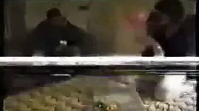 Hubby Gives Wife a Group of Blacks for Birthday Imagine Xxxmas Read Rate Comment