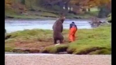 Une bagarre avec un ours