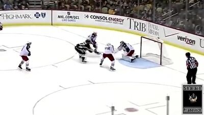 Die besten russischen Torhüter in der NHL: Bobrowski, Varlamov, Nabokov, Bryzgalov, Khabibullin, Khudobin – Die besten russischen Torhüter in der NHL. Teil 3