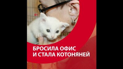 Elle a quitté son bureau et a décidé de devenir « chatte » — Moskva FM