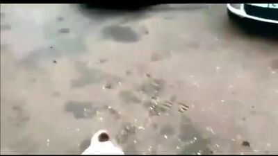 O avô vai acabar de comer