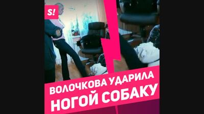 SCANDALE ! Volochkova a donné un coup de pied à un chien