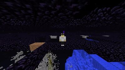 JE SUIS ALLÉ SUR LE PLUS ANCIEN SERVEUR DE CHITERS ! SURVIE SUR 2b2t DANS MINECRAFT (il a 10 ans)