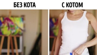 Без кота життя не те
