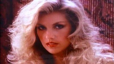 Playboy. Playmate des Jahres. Die 80er Jahre