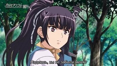 Samurai Hormone: La serie animada hentai