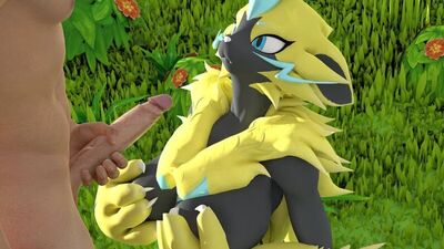 Pokémon Furry Yiff Zeraora
