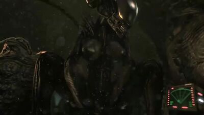 3d йыфф Стрейт Ферри Порн Секс E621 FYE бөтен қыз r34 rule34 ксеноморф