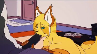 2d Yiff HD Straight Furry Porn Sex E621 FYE Cat and Wolf blowjob handjob