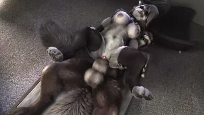 3D Yiff por H0rs3 Porno Furry Sexo E621 Fye Hazbin Hote Helluva Boss R34 Rule34 Loona Wolf Sexo em grupo Gangbang