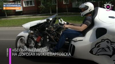 Megapólis - Urso polar em Nizhnevartovsk - Nizhnevartovsk