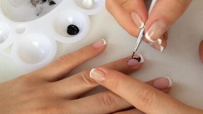 Manicure francesa. Libélula nas unhas. Desenhos de Nail Art