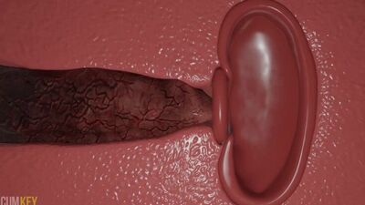 Monstruo 3D de DoA Nyatengu: «Zorra tetona en apuros por un nudo» — Ganadores de la votación — «Polla enorme en forma de nudo»_1080p — Vídeo porno hentai de Dead or Alive según la regla 34 — mul