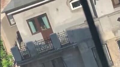 Entertains the neighbors