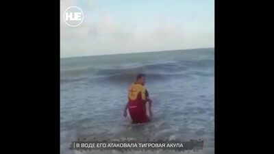 W Brazylii zginął chłopiec, któremu rekin odgryzł penisa