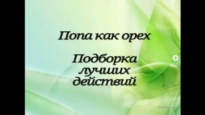 Жержаңғақ тәрізді жалқау. Ең үздік сәттер таңдамасы
