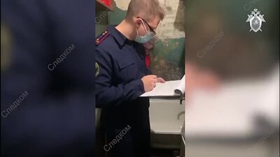 12.11.21, село Горбунки Ленінградської області