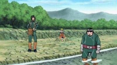 [Naruto-Brand] Naruto, épisode 161 / Naruto [TV-1] Épisode 161 [Qualité professionnelle (2x2)]