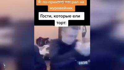 [сірий пенал] тепер я щодня сиджу в TikTok
