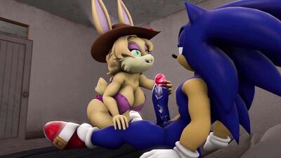 Sonic X Bunnie