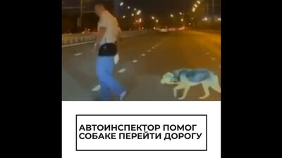 Um agente da Polícia de Trânsito ajudou um cão