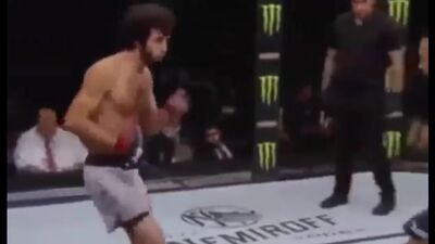 Zabit Magomedsharipov contre Brandon Davis