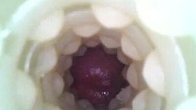 Borescope Cam Inside Fleshlight