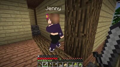 Série modificada do Minecraft