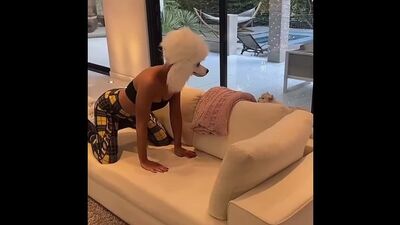 Kate Beckinsale en un forcejeo con un gato