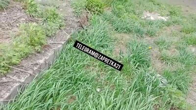 Obciąga po szkole [porno, seks, rżnięcie, rosyjskie, kazirodztwo, mama, domowe, obciąganie, wytrysk do ust, wytrysk na twarz, siostra, lodzik, ciasteczka]