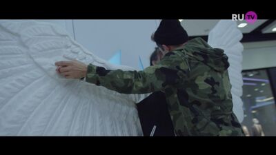 Elvira T – Taksówki
