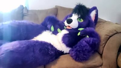 Un-peu-de-temps-pour-soi-fursuit-en-solo-caresses-et-frottements-femme-en-solo-volume-faible