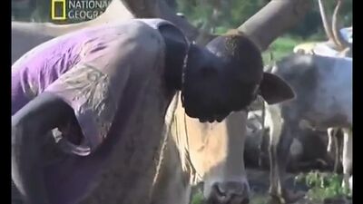 African porn